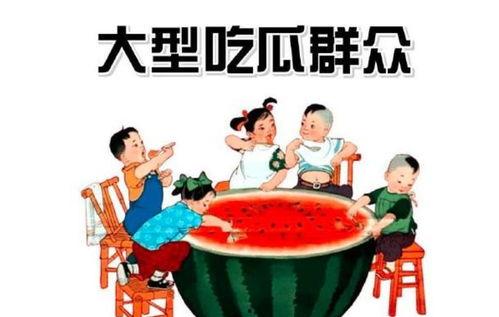 诗琪吃瓜群众,吃瓜群众的视角，揭秘娱乐圈风云
