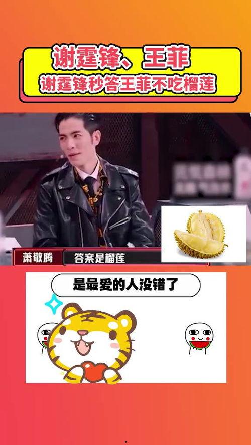 大家都是吃瓜人 小说