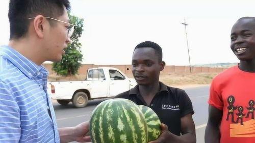 美国吃瓜结果,揭秘娱乐圈幕后真相
